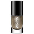 Lak na nechty Nail Colour Metal bronze